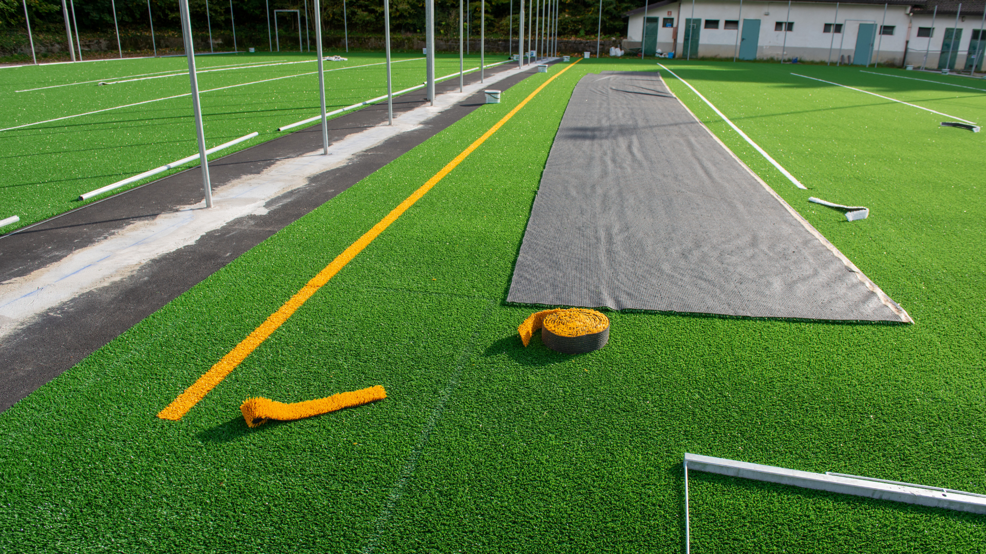 Premium Grass Blades