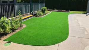 Artificial Turf for Driveways and Walkways