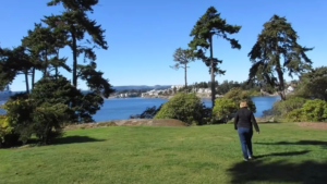 Saxe Point: Coastal Living at Its Finest