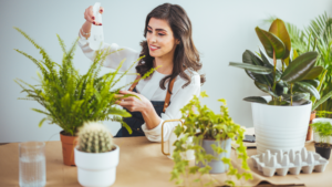 artificial plants