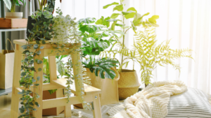 artificial plants