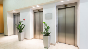 artificial plants