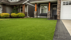 Premium Grass Blades: Esquimalt's Best Artificial Grass