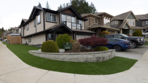 Artificial Turf