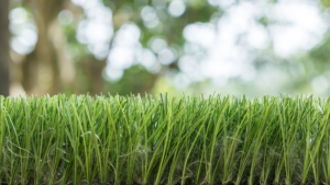 Support Sustainability Efforts