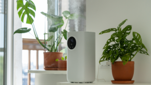 artificial plants