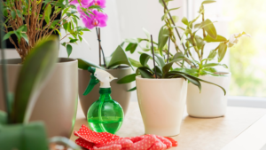 artificial plants