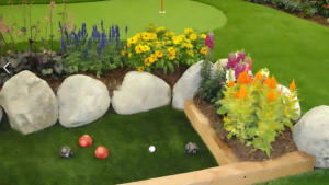 Wildlife-Friendly Spaces
