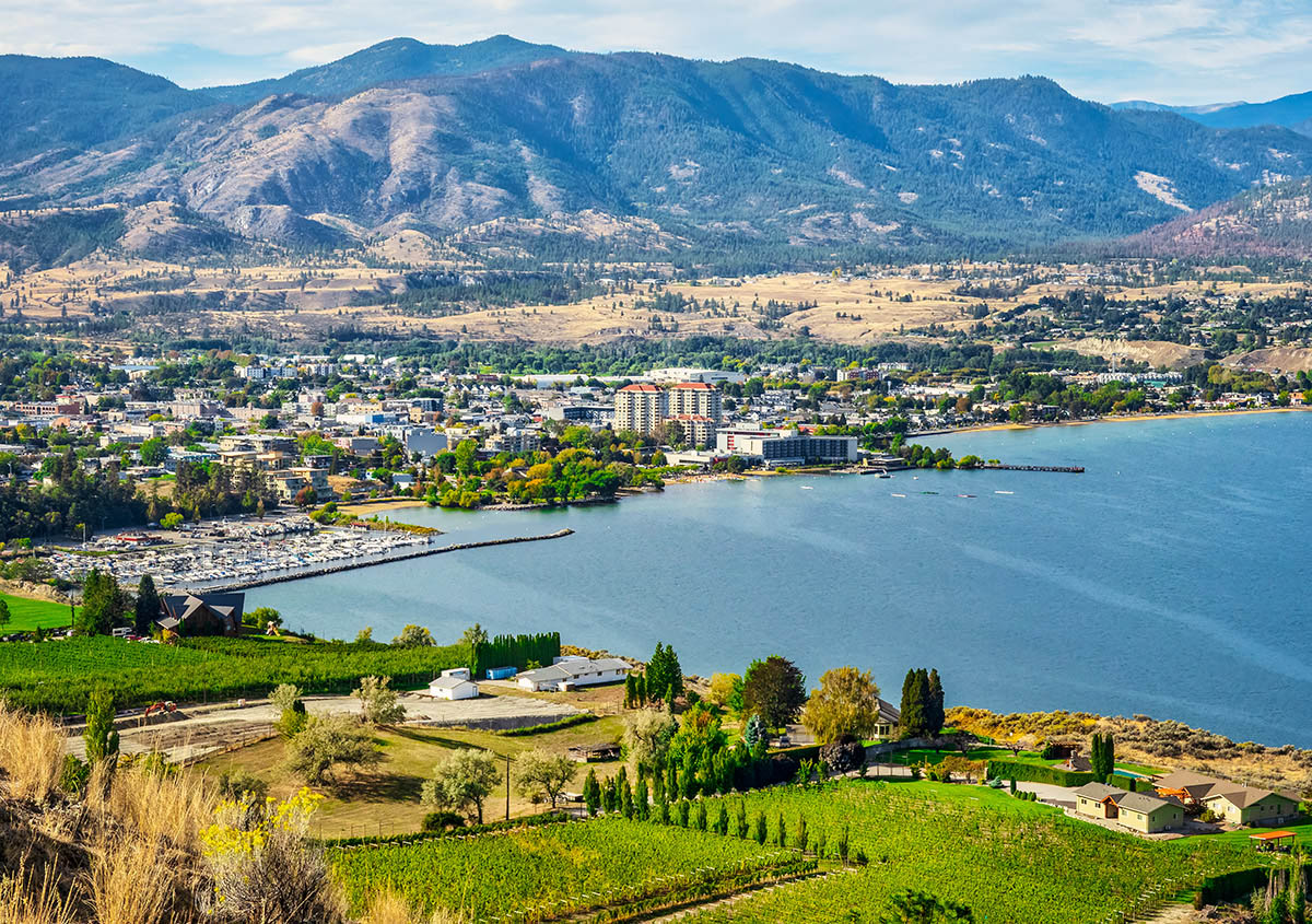 6027-Penticton Artificial Grass in Penticton