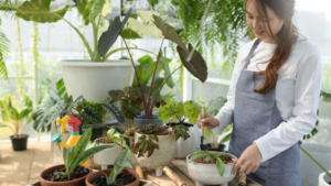 artificial plants