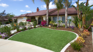 Transform Your Campbell River Lawn with Premium Grass Blades
