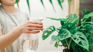 artificial plants