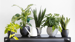 interior artificial plants