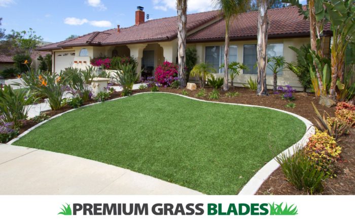 Reimagining Green Spaces: How Artificial Turf Can Complement Saanich’s Vision Zero Plan