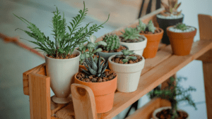artificial plants