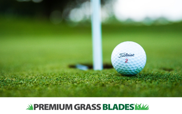 How to Choose the Best Putting Green Turf for Your Home Golf Setup
