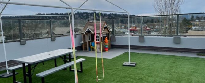 Premium Grass Blades Evergreen in CoquitlamRooftop Patio