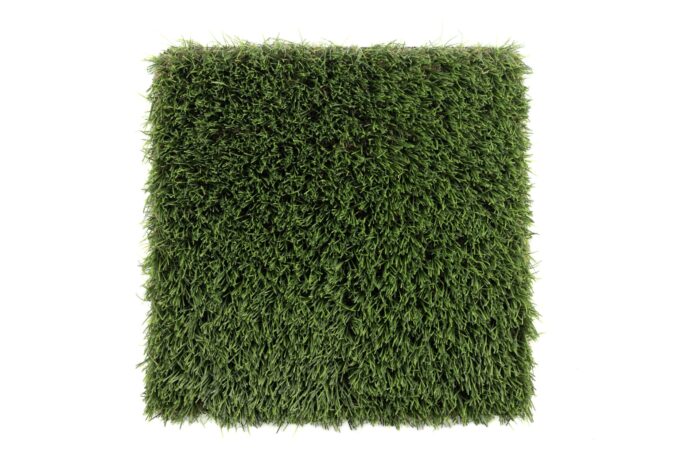 Premium Grass Blades Sage V2 Top profile