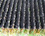Cross-section of black artificial turf backing and synthetic blades resting on dried natural grass.