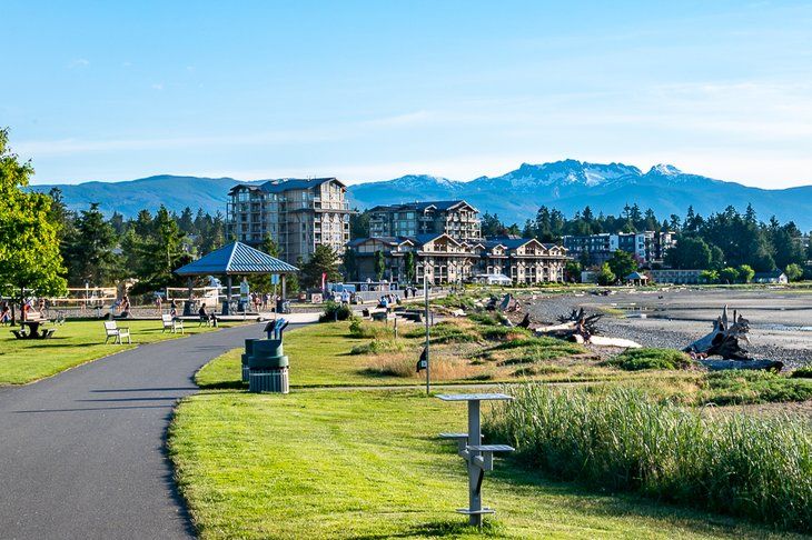 Artificial Grass in Parksville Artificial Grass in Parksville