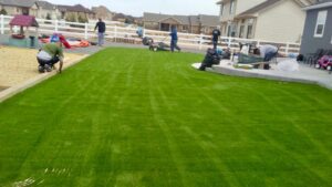 The Installation Process Of Premium Grass Blades’ Artificial Turf