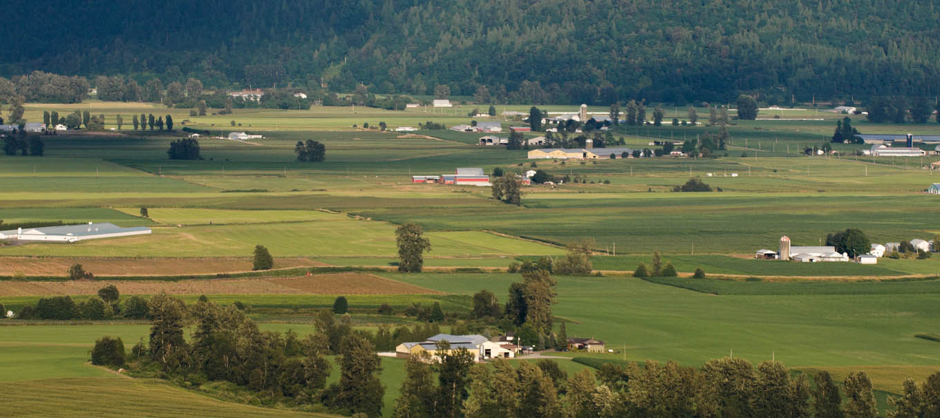fraser-valley-artificial-turf-farming Artificial Turf in The Fraser Valley