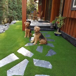synthetic grass for pets