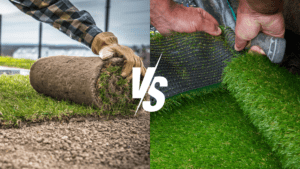Synthetic Grass vs. Natural Grass: The Science Behind Premium Grass Blades Turf